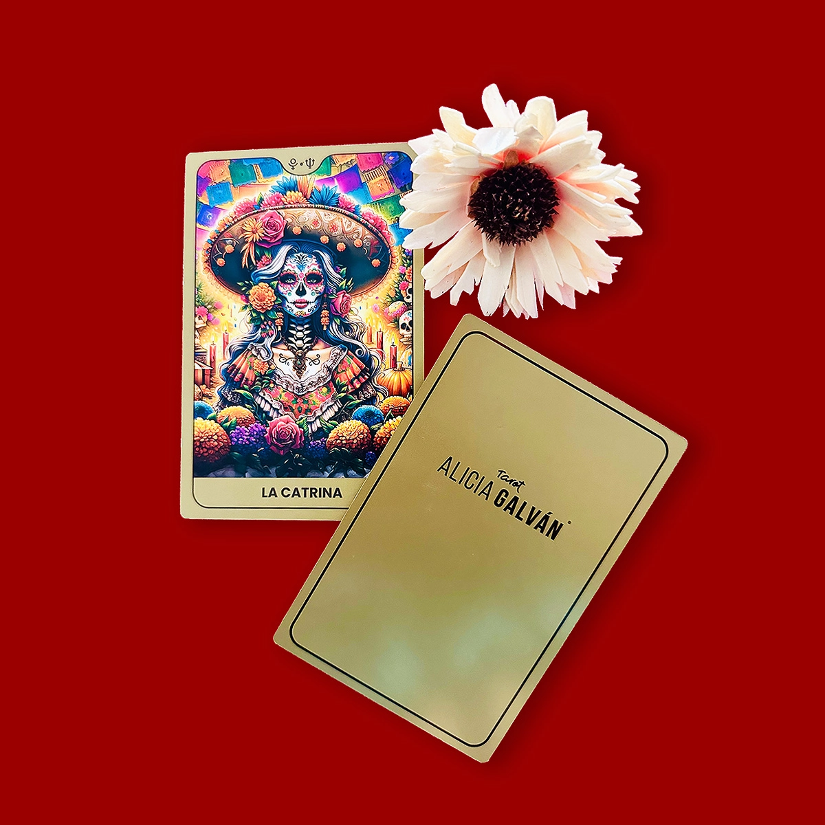 Carta Tarot Alicia Galván 14