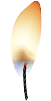 Ritual de las Velas