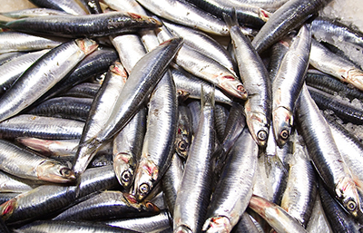 Boquerones