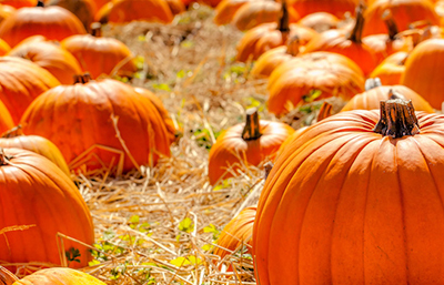 Calabaza