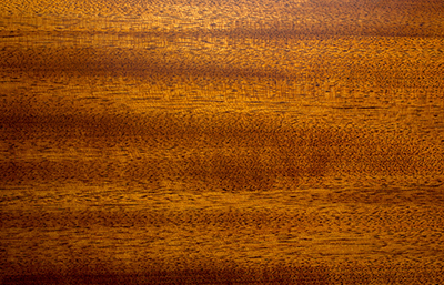 Caoba