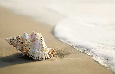 Caracola
