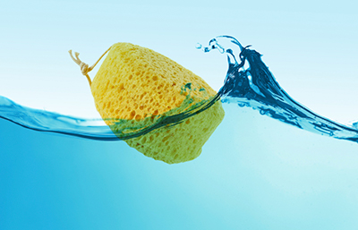 Esponja
