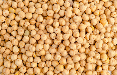 Garbanzo