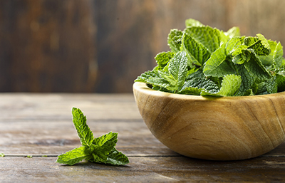 Menta