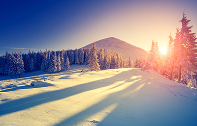 Nieve