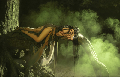 Ninfa