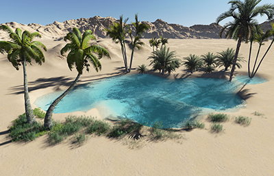 Oasis