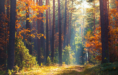 Otoño
