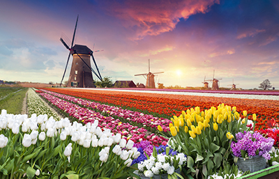 Primavera