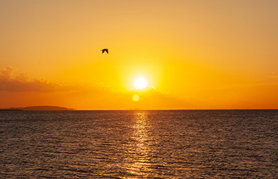 Sol