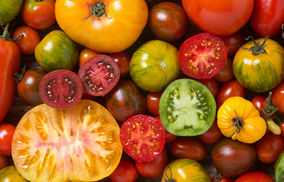 Tomate