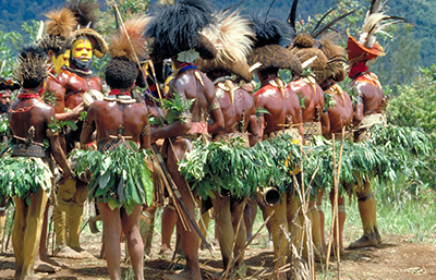 Tribu