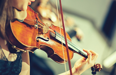 Violín