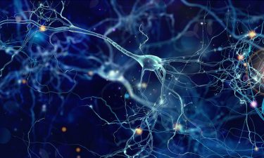 Física cuántica y nuestro cerebro