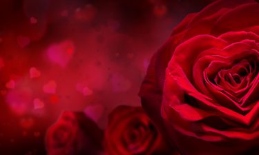Elige tu carta para el Día de San Valentín