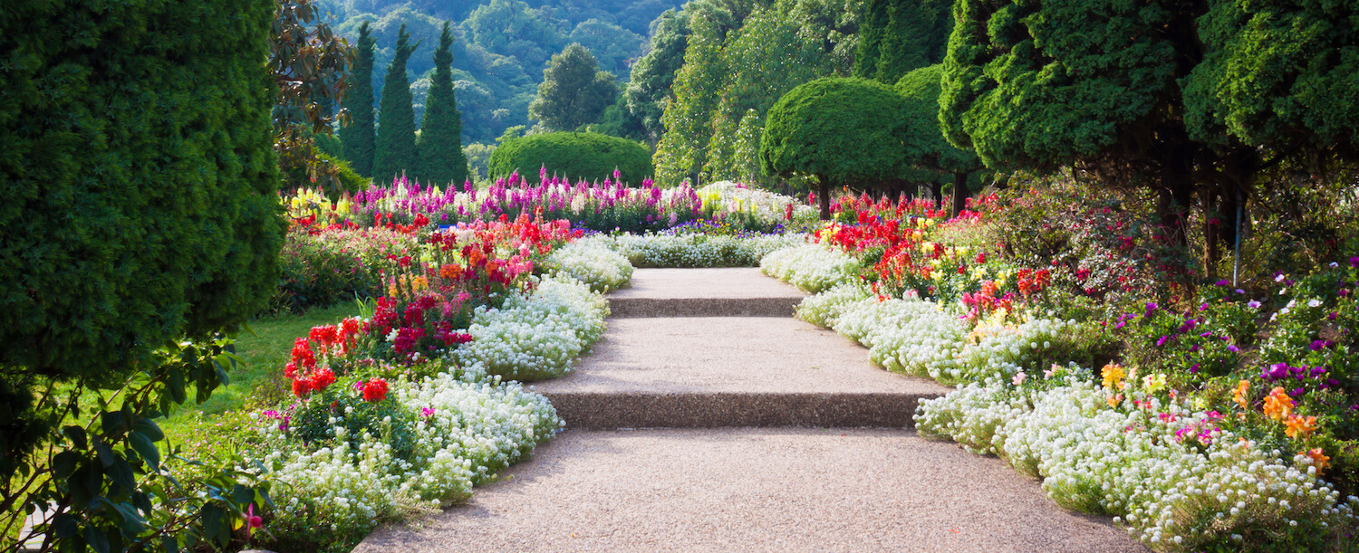primavera