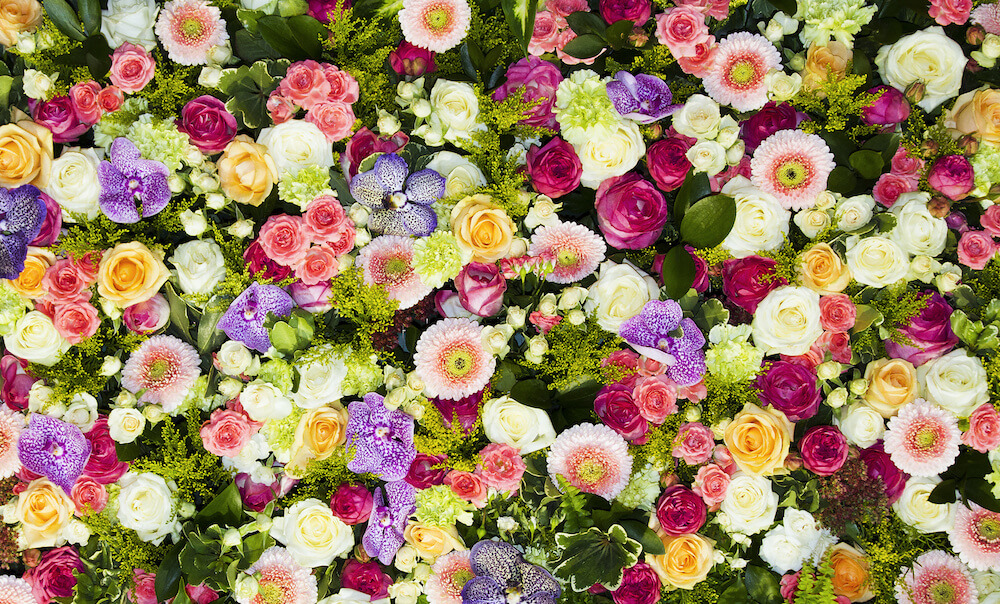 flores y signos