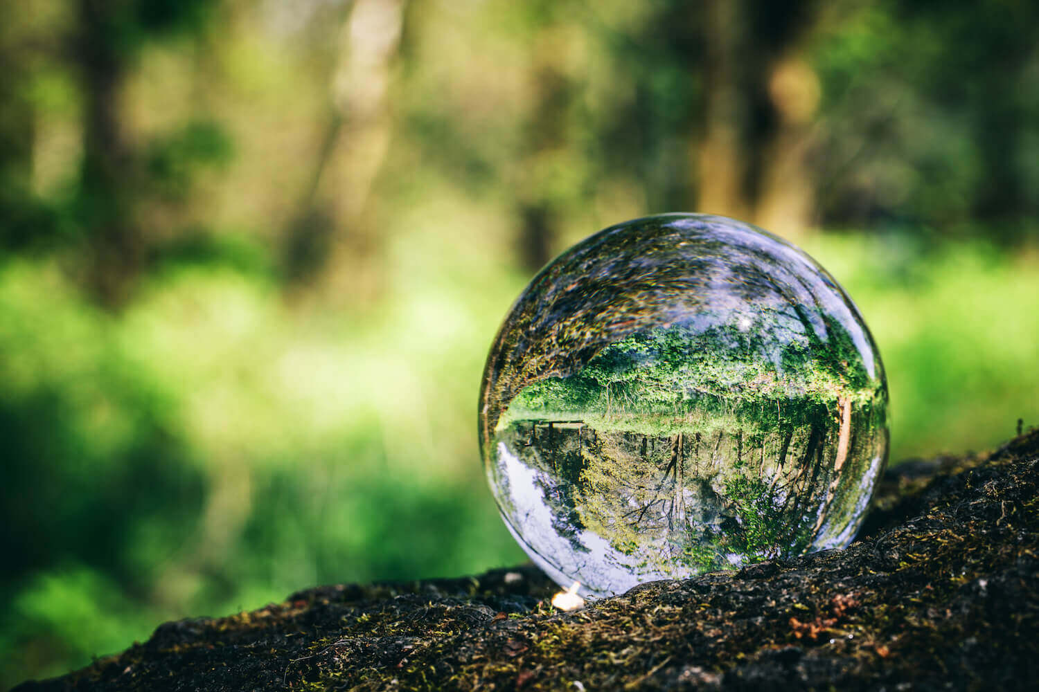 Tipos de bola de cristal y funcionamiento