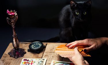 El Tarot y los Animales