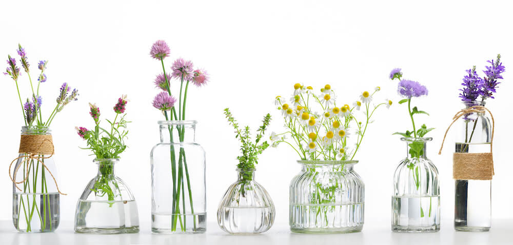 flores de bach