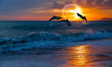La Luna en signos de agua y aire