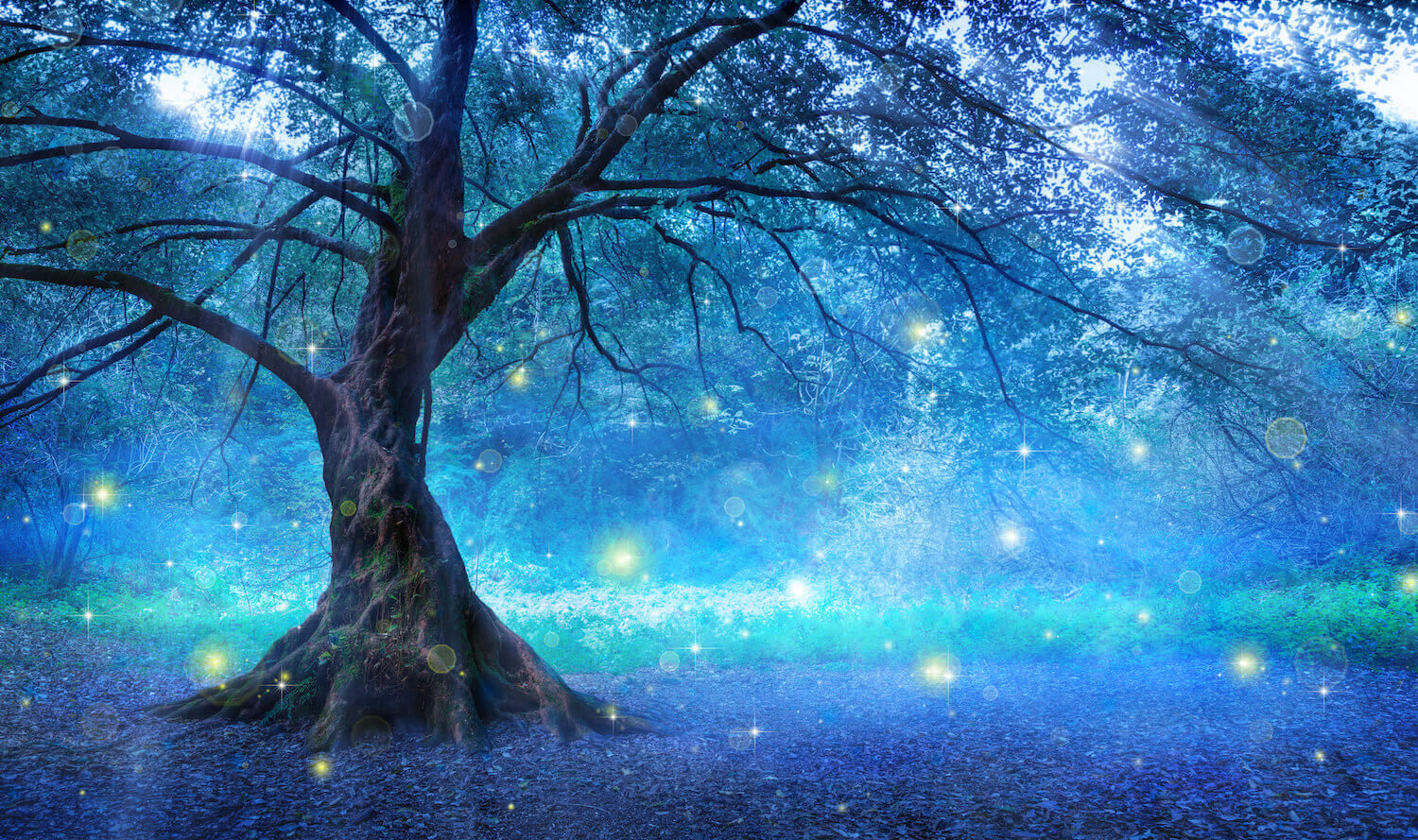 signos arboles