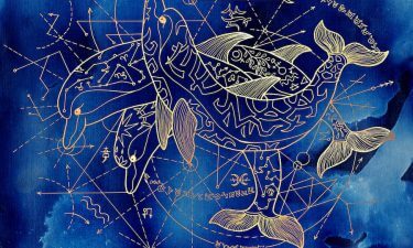 Animales y signos III
