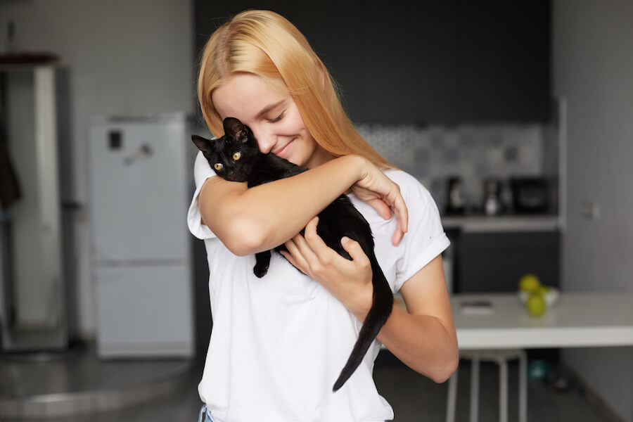 gato negro gato blanco