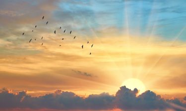 Limpieza energética con el Sol en Virgo