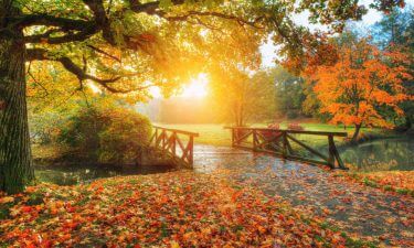 Tarot en Otoño