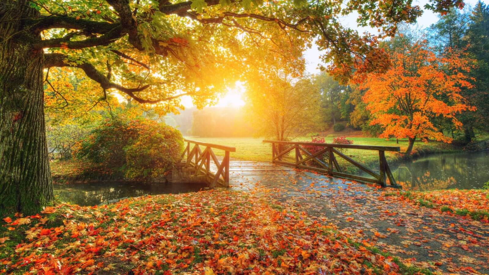 Tarot en Otoño