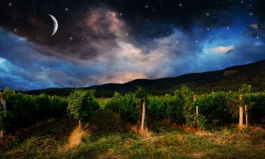 La personalidad según las fases de la Luna