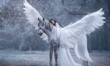 Los Caballos en Tarot Amor
