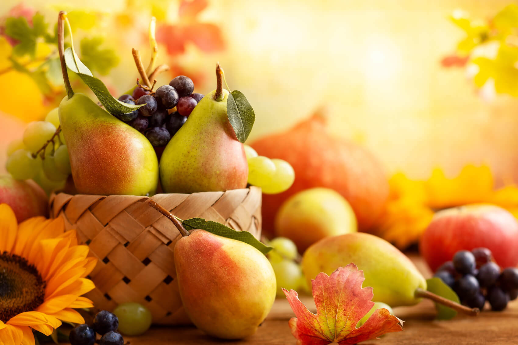 astrología y alimentación