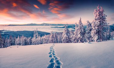 Palabras clave para el invierno según tu signo
