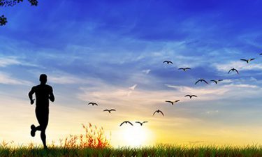 Los beneficios de la Naturaleza sobre nuestra atención