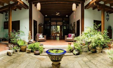 El Feng Shui con plantas y animales