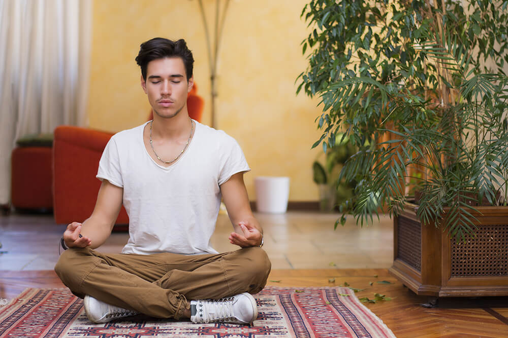 Las plantas y animales, claves para el Feng Shui