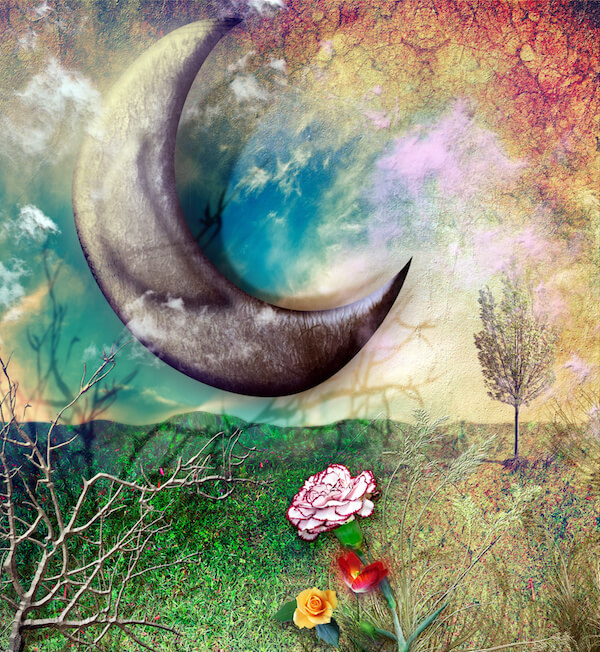 ciclos de la luna