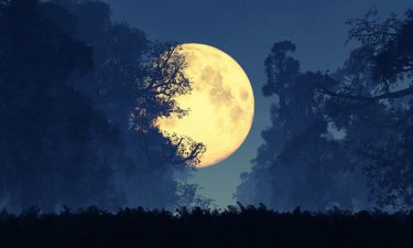 El ciclo de las fases de la Luna