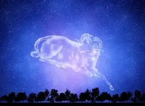 El Tarot y los signos del Zodiaco