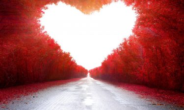 El camino hacia el amor en once pasos