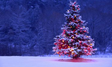 Tirada de Tarot del Árbol de Navidad