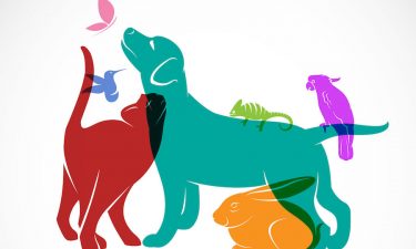 ¿Cuál es la mascota perfecta para cada signo?