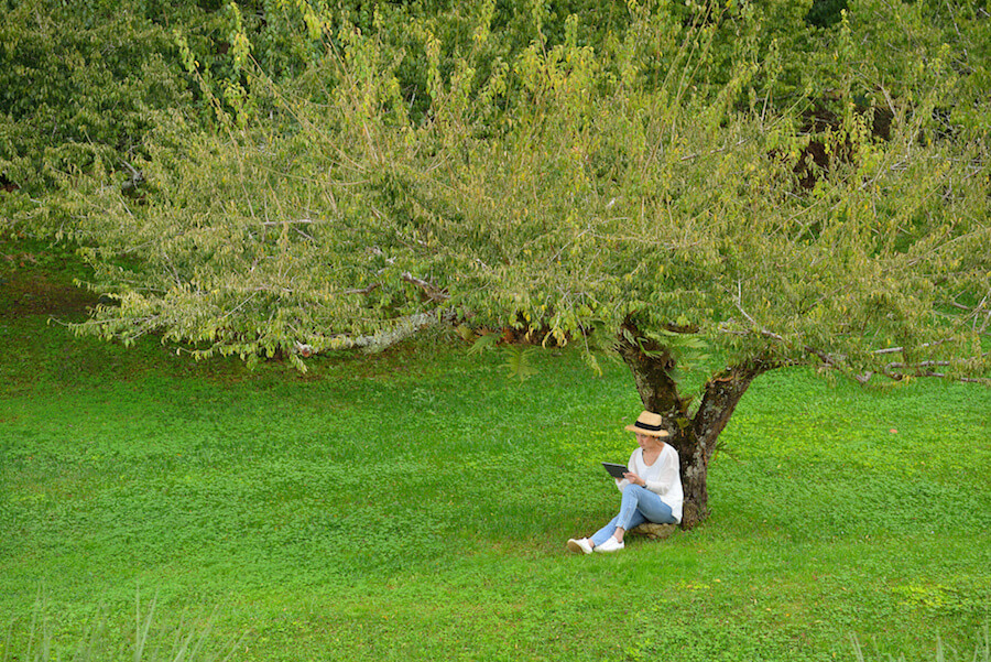 rituales para meditar