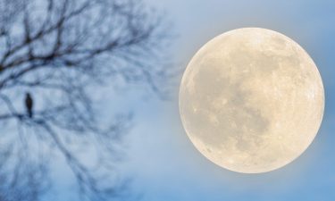 La Luna en Nuestro Signo