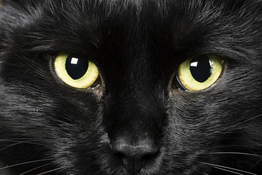 Supersticiones martes 13