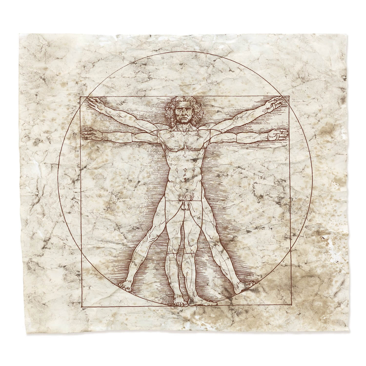 Leonardo da Vinci