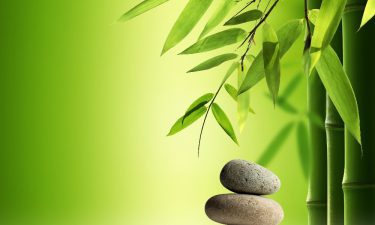 Shiatsu: la presión sanadora